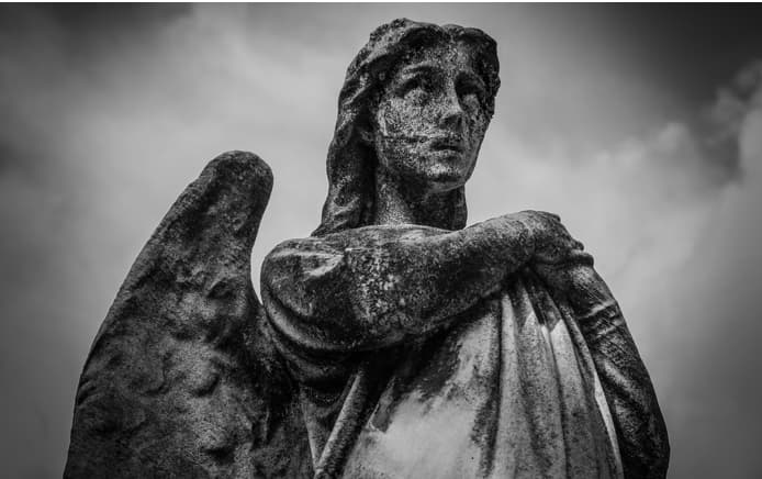 SmartFace App - Image 2